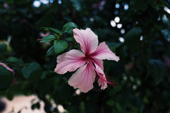 Processed with VSCO with j4 preset