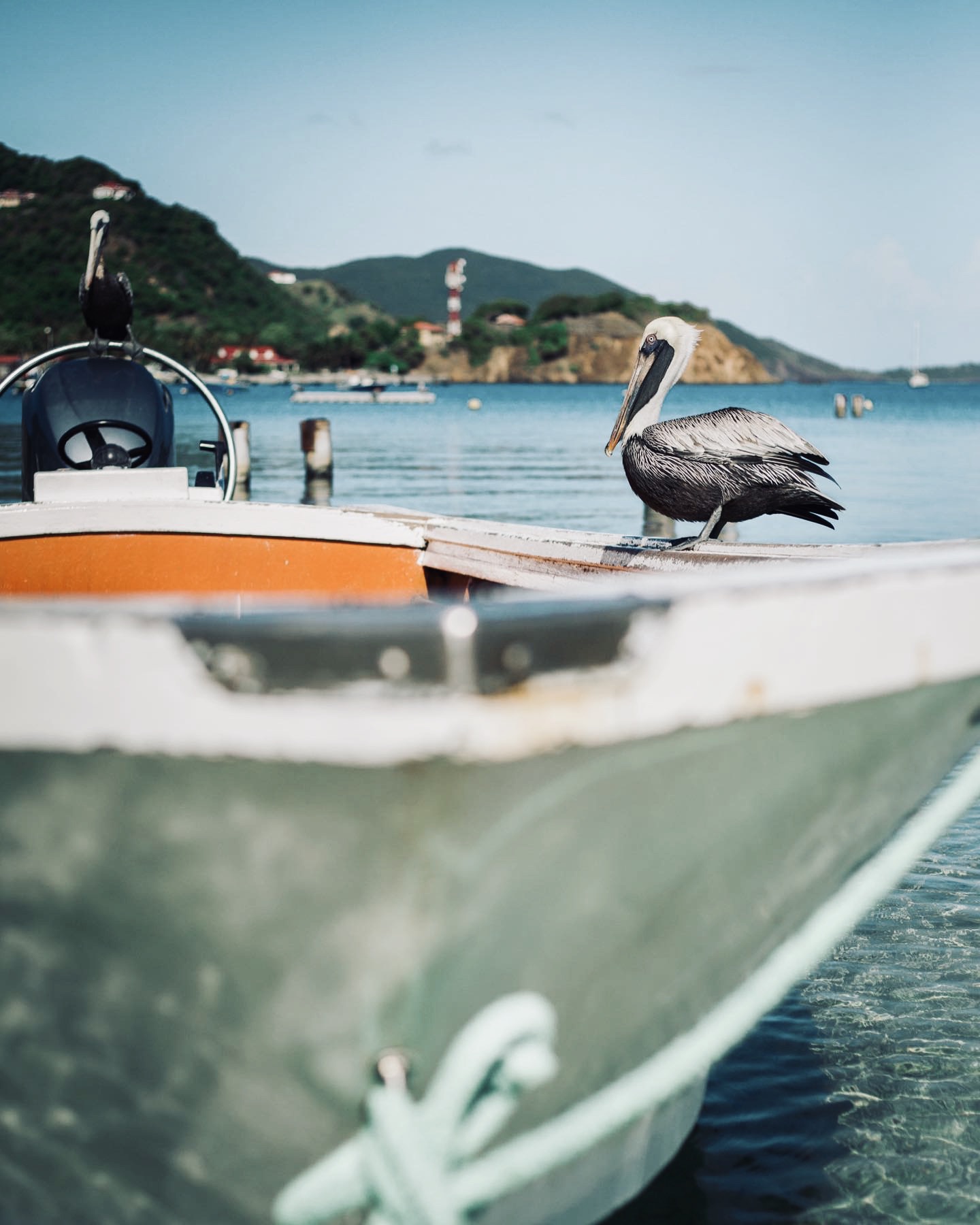 1560A8E7-2A68-4F60-9679-088BB5B6CA86_1_201_a