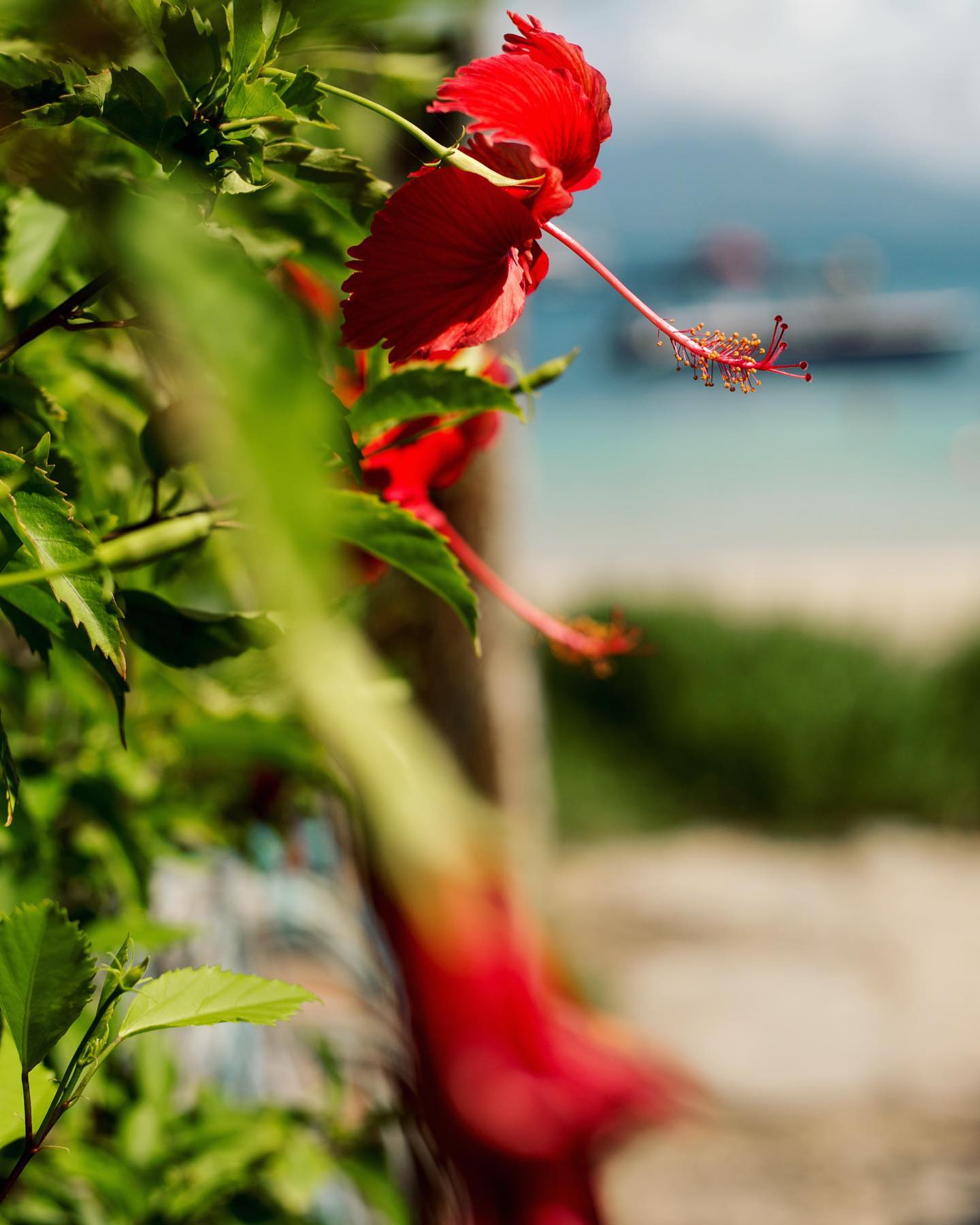 237116353_4816471541715145_7019451807673759166_n